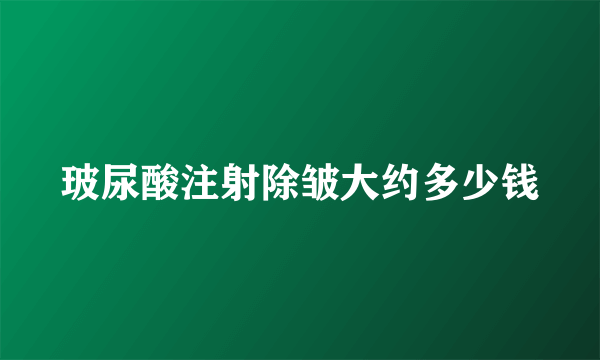 玻尿酸注射除皱大约多少钱