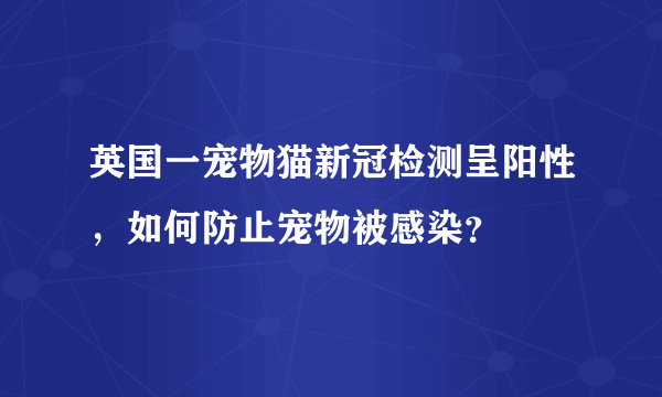 英国一宠物猫新冠检测呈阳性，如何防止宠物被感染？