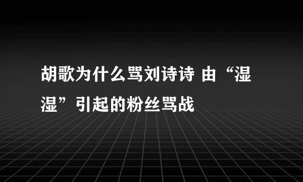 胡歌为什么骂刘诗诗 由“湿湿”引起的粉丝骂战