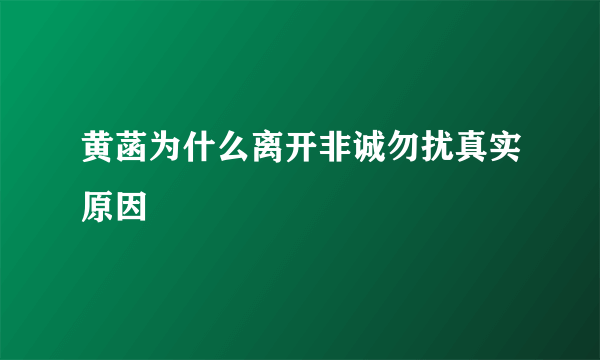 黄菡为什么离开非诚勿扰真实原因