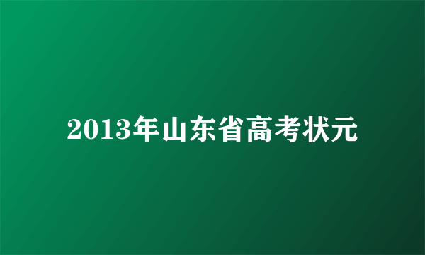 2013年山东省高考状元