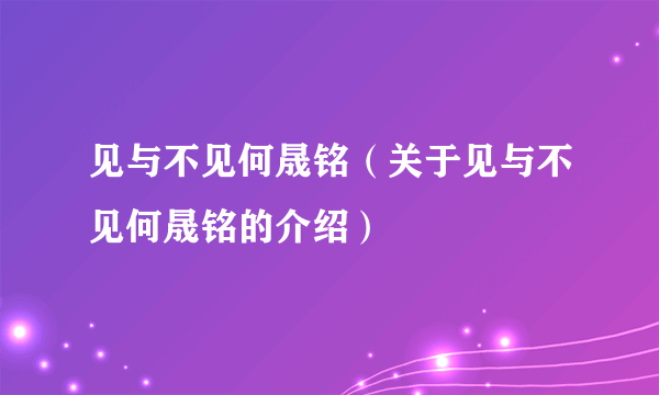 见与不见何晟铭（关于见与不见何晟铭的介绍）