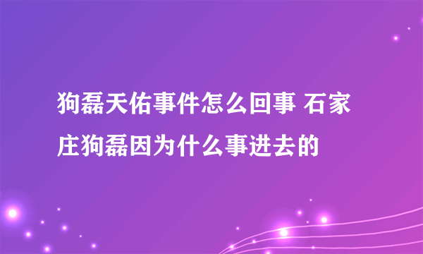 狗磊天佑事件怎么回事 石家庄狗磊因为什么事进去的