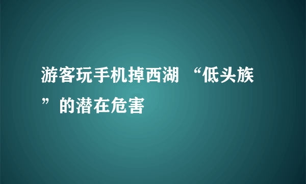 游客玩手机掉西湖 “低头族”的潜在危害