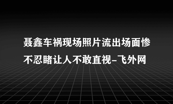 聂鑫车祸现场照片流出场面惨不忍睹让人不敢直视-飞外网