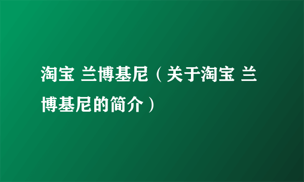 淘宝 兰博基尼（关于淘宝 兰博基尼的简介）