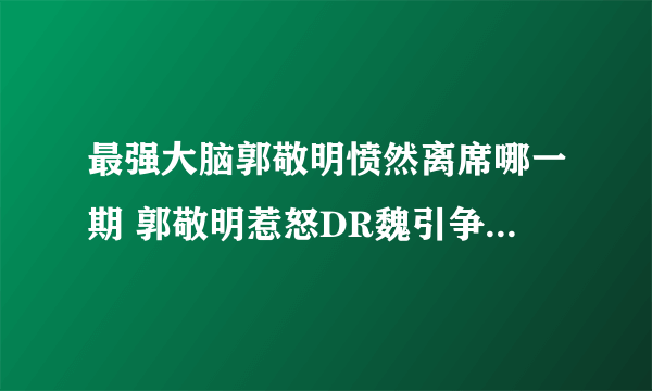 最强大脑郭敬明愤然离席哪一期 郭敬明惹怒DR魏引争议_飞外网