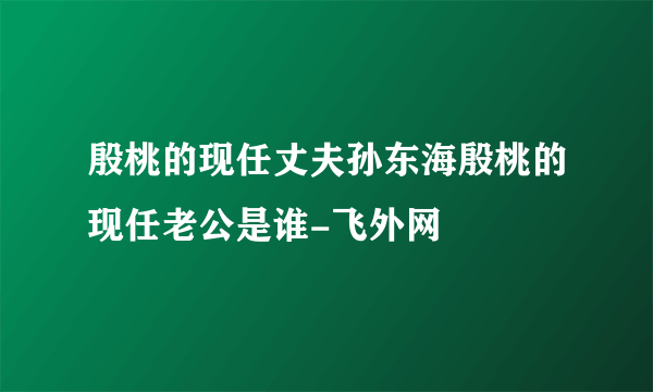 殷桃的现任丈夫孙东海殷桃的现任老公是谁-飞外网