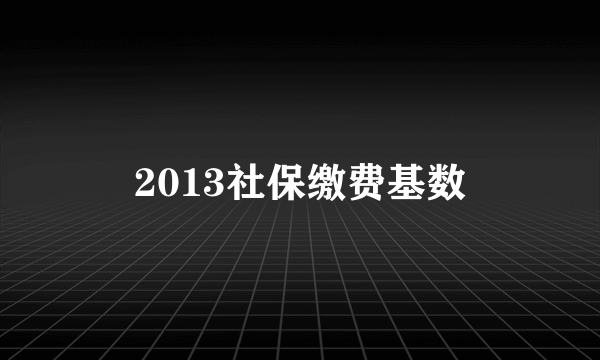 2013社保缴费基数