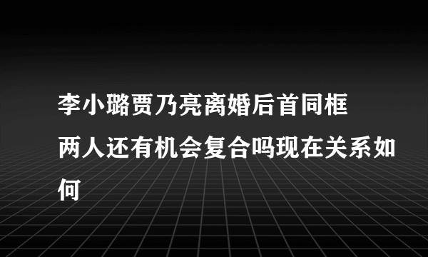 李小璐贾乃亮离婚后首同框 两人还有机会复合吗现在关系如何