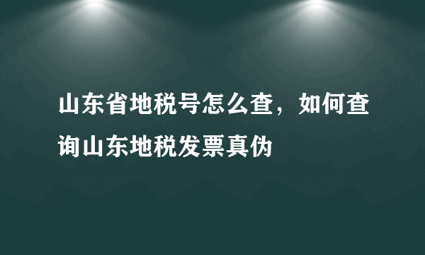 山东省地税号怎么查，如何查询山东地税发票真伪