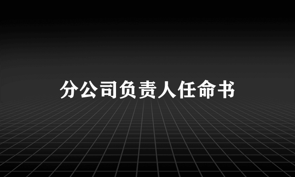 分公司负责人任命书