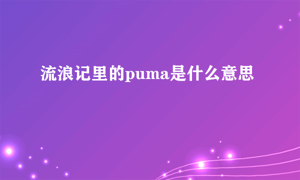 流浪记里的puma是什么意思