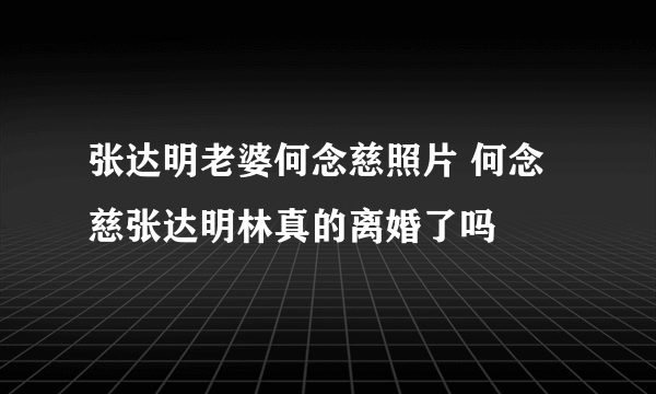 张达明老婆何念慈照片 何念慈张达明林真的离婚了吗