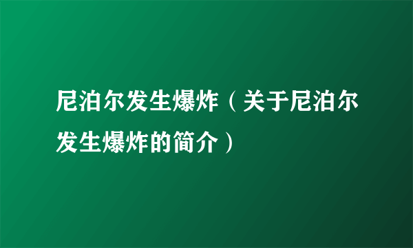 尼泊尔发生爆炸（关于尼泊尔发生爆炸的简介）