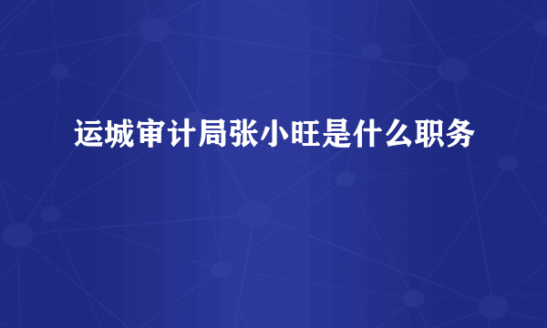 运城审计局张小旺是什么职务