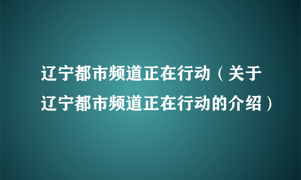 辽宁都市频道正在行动（关于辽宁都市频道正在行动的介绍）