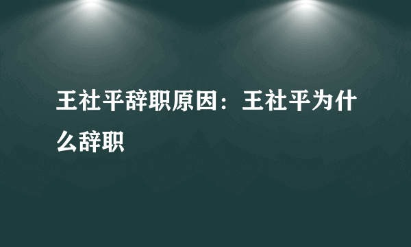 王社平辞职原因：王社平为什么辞职