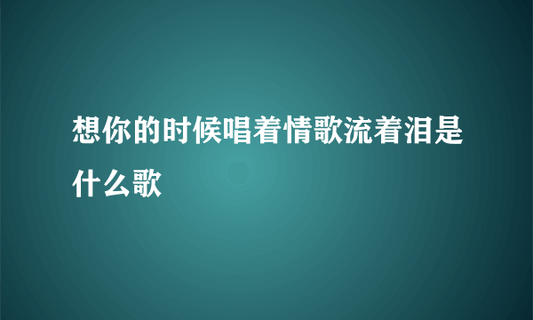 想你的时候唱着情歌流着泪是什么歌