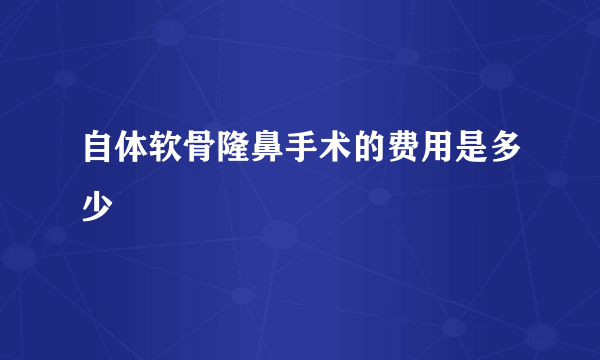 自体软骨隆鼻手术的费用是多少