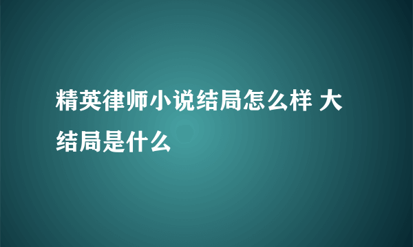 精英律师小说结局怎么样 大结局是什么