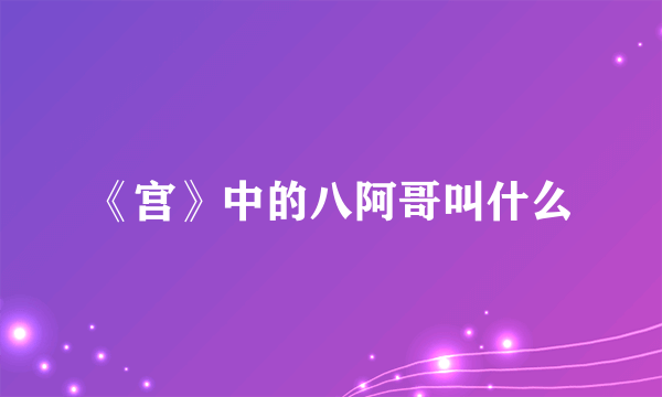 《宫》中的八阿哥叫什么