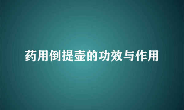 药用倒提壶的功效与作用