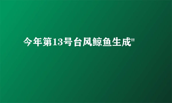 今年第13号台风鲸鱼生成