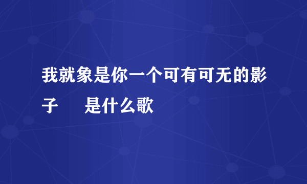 我就象是你一个可有可无的影子     是什么歌