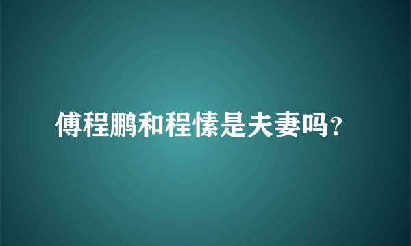 傅程鹏和程愫是夫妻吗？