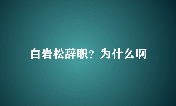 白岩松辞职？为什么啊