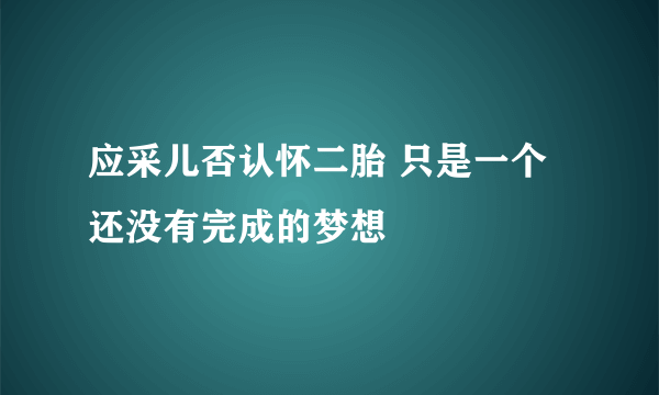 应采儿否认怀二胎 只是一个还没有完成的梦想