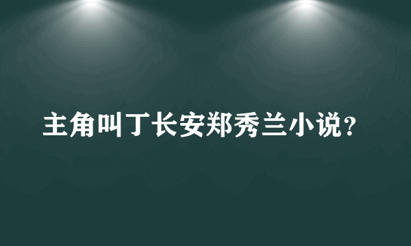 主角叫丁长安郑秀兰小说？