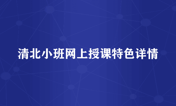 清北小班网上授课特色详情