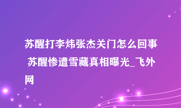 苏醒打李炜张杰关门怎么回事 苏醒惨遭雪藏真相曝光_飞外网