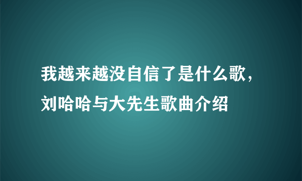 我越来越没自信了是什么歌，刘哈哈与大先生歌曲介绍