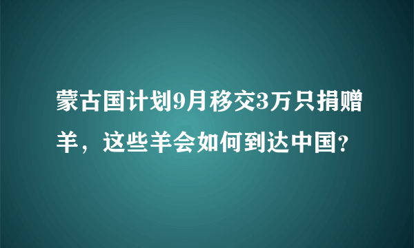 蒙古国计划9月移交3万只捐赠羊，这些羊会如何到达中国？