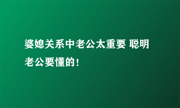 婆媳关系中老公太重要 聪明老公要懂的！