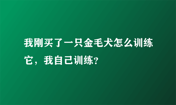 我刚买了一只金毛犬怎么训练它，我自己训练？