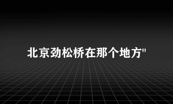 北京劲松桥在那个地方