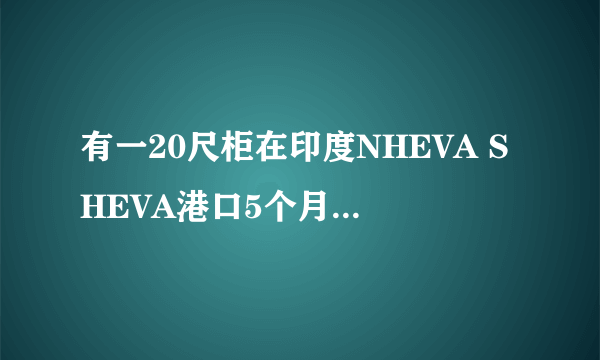 有一20尺柜在印度NHEVA SHEVA港口5个月，由于货被海关查了反倾销，客户没办法付余款提货，要求退运，求帮