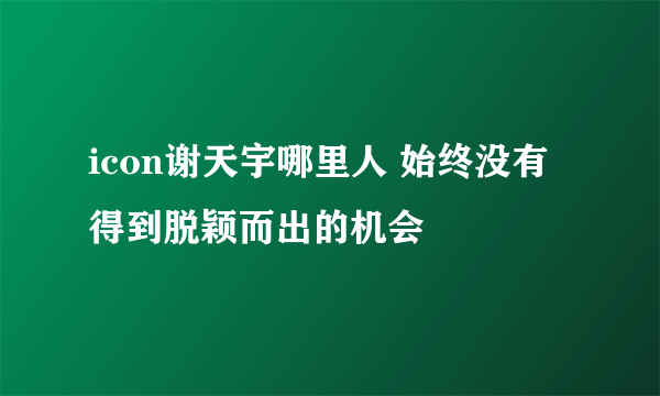 icon谢天宇哪里人 始终没有得到脱颖而出的机会