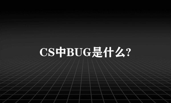 CS中BUG是什么?