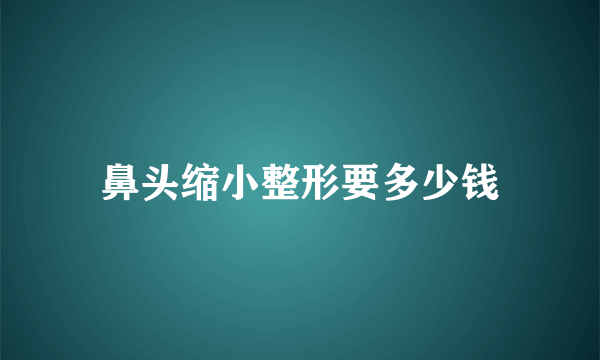 鼻头缩小整形要多少钱