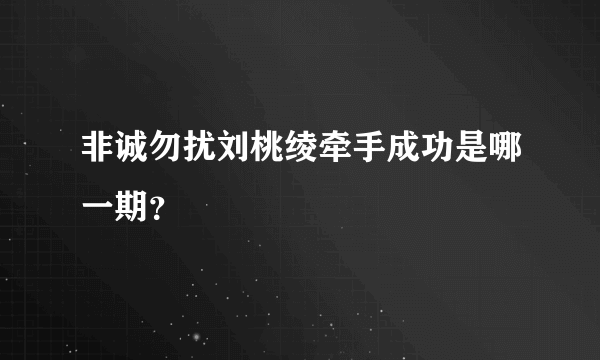 非诚勿扰刘桃绫牵手成功是哪一期？