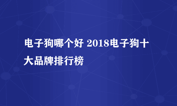 电子狗哪个好 2018电子狗十大品牌排行榜