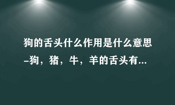 狗的舌头什么作用是什么意思-狗，猪，牛，羊的舌头有什么特殊功能？