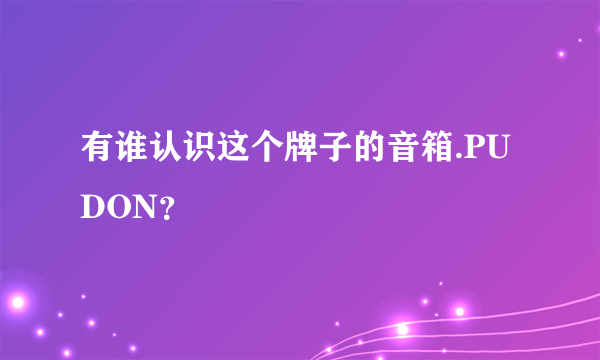 有谁认识这个牌子的音箱.PUDON？