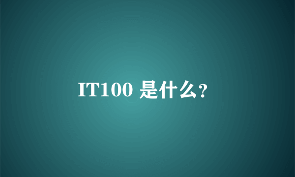 IT100 是什么？