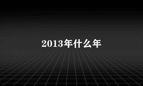 2013年什么年